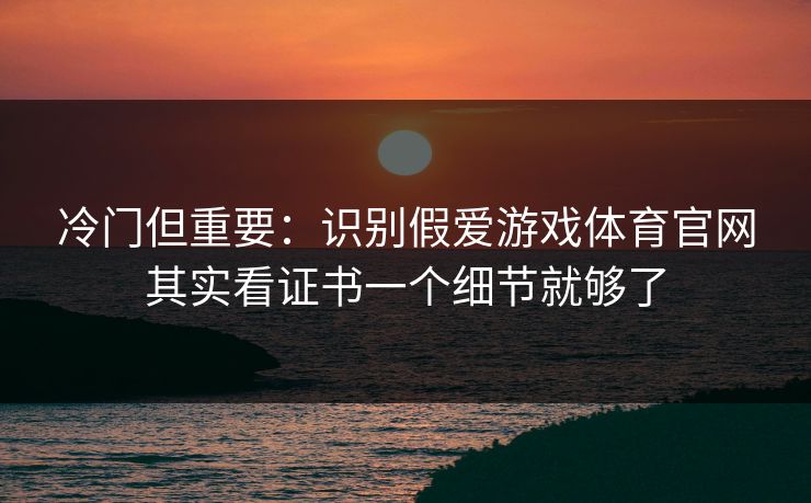 冷门但重要：识别假爱游戏体育官网其实看证书一个细节就够了