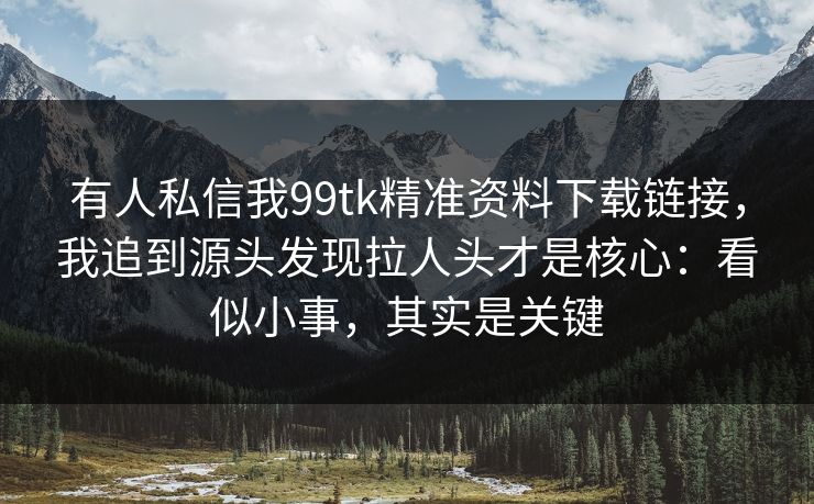 有人私信我99tk精准资料下载链接，我追到源头发现拉人头才是核心：看似小事，其实是关键