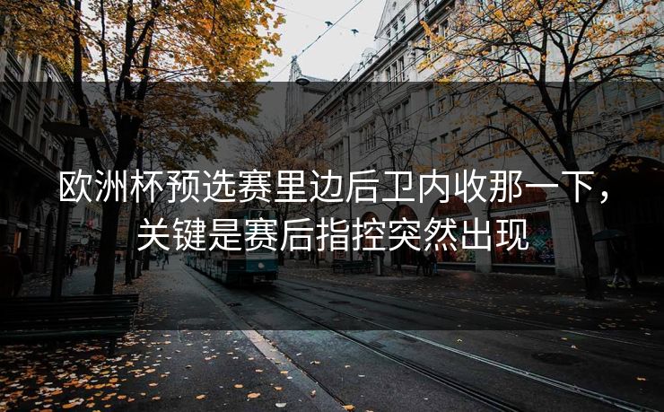欧洲杯预选赛里边后卫内收那一下，关键是赛后指控突然出现