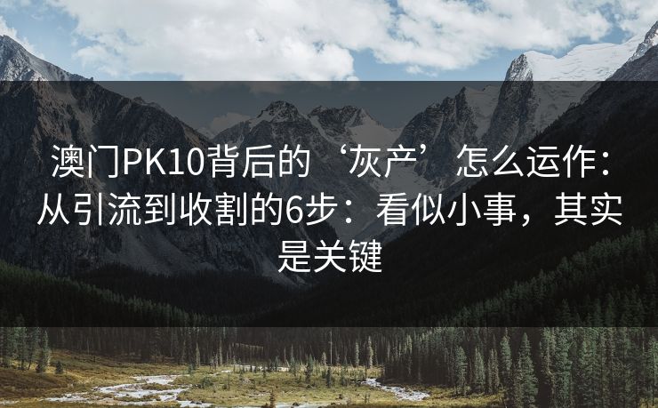 澳门PK10背后的‘灰产’怎么运作：从引流到收割的6步：看似小事，其实是关键